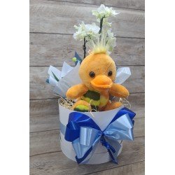 Kit Maternidade Menino com Mini Orquídea 2 Hastes Pote 9 - Cor Variada + Pelúcia Kit Maternidade Menino com Mini Orquídea 2 Hastes Pote 9 - Cor Variada + Pelúcia